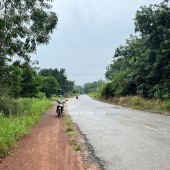 BÁN ĐẤT PHÂN LÔ LÀM XƯỞNG TẠI LAI HƯNG - BÀU BÀNG